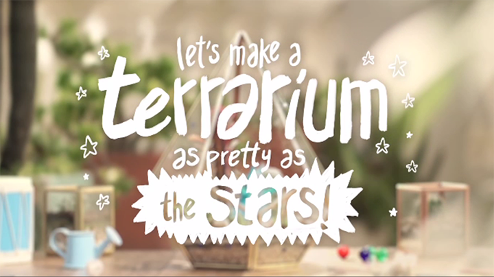 Terrarium as Pretty as the Stars